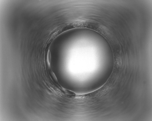 X0000066090964200603101202