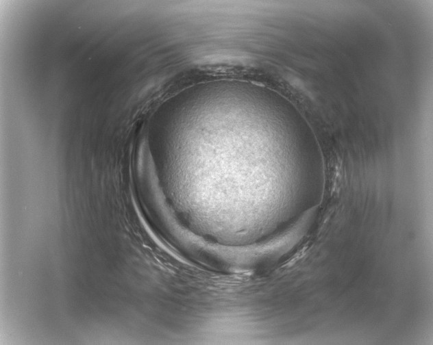 X0000066090965200603101202