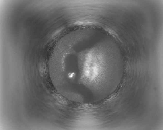 X0000066090966200603101202