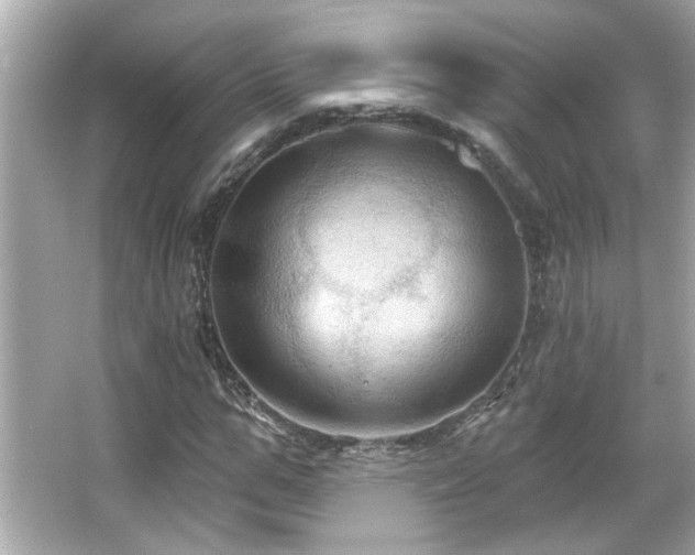 X0000066090967200603101202