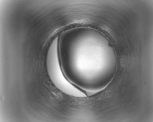 X0000066090968200603101202