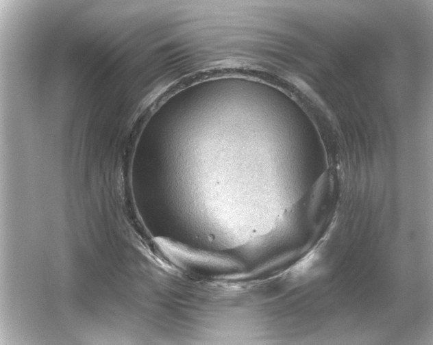 X0000066090969200603101202