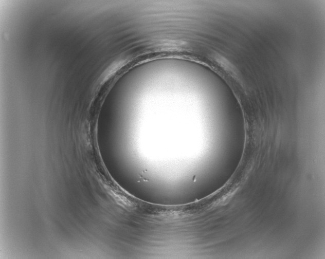 X0000066090970200603101202