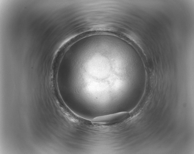 X0000066090971200603101202