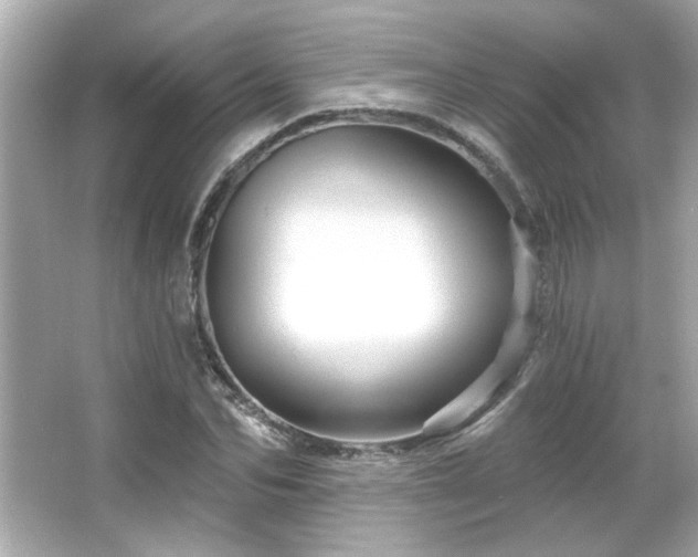 X0000066090974200603101202