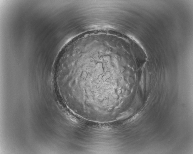 X0000066090975200603101202