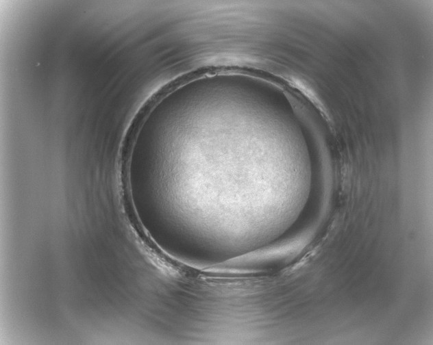 X0000066090976200603101202