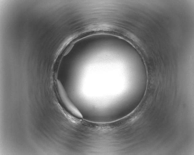 X0000066090978200603101202