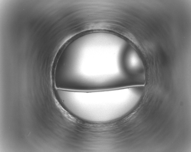 X0000066090980200603101201