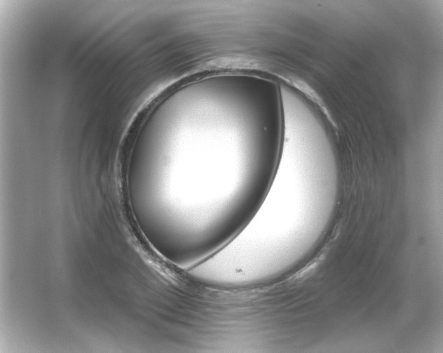 X0000066090981200603101201