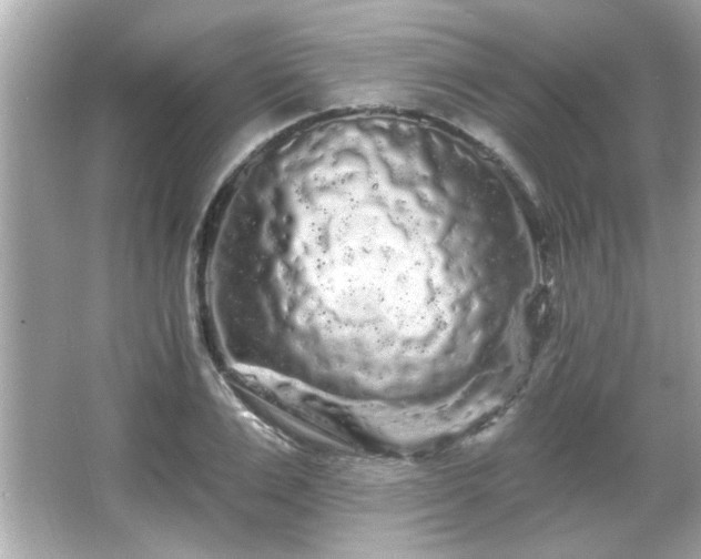 X0000066090983200603101201