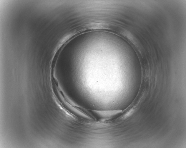 X0000066090986200603101201