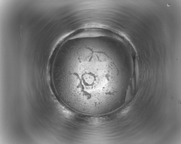 X0000066090987200603101201