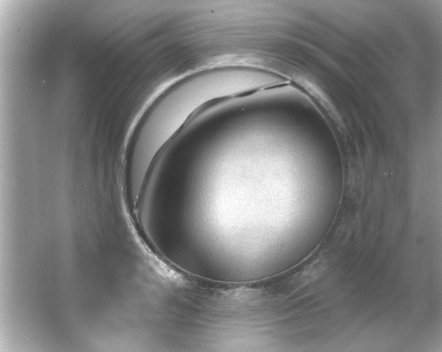 X0000066090992200603101201