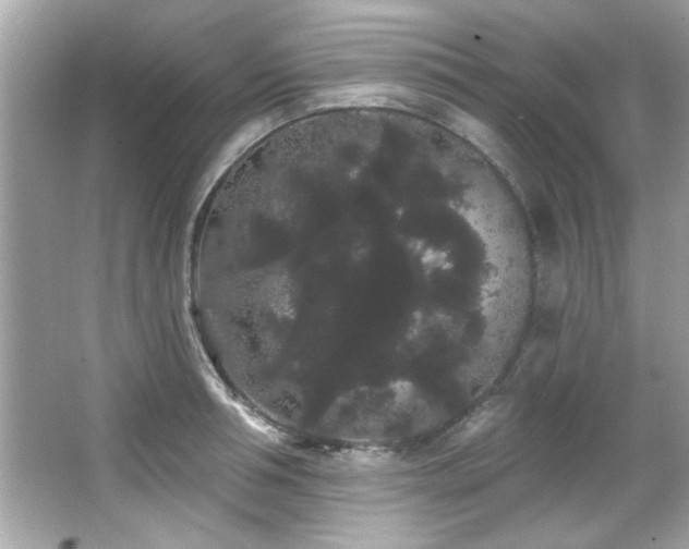 X0000066090994200603101201