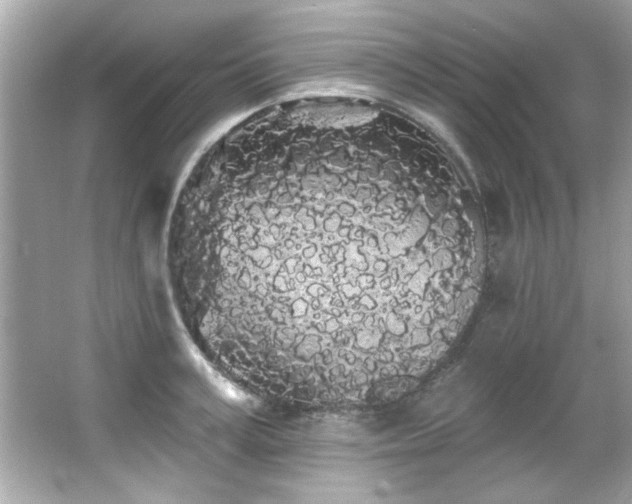 X0000066090995200603101201