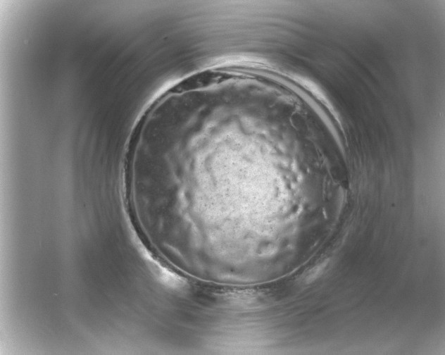 X0000066090999200603101201