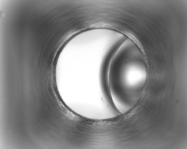 X0000066091000200603101201