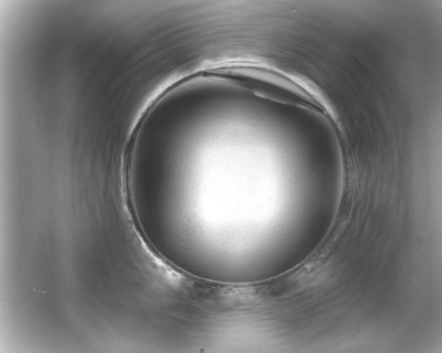 X0000066091006200603101201