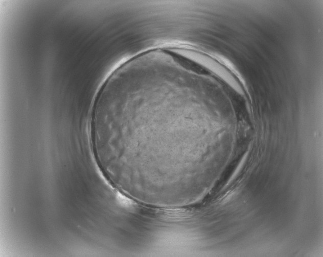 X0000066091007200603101201