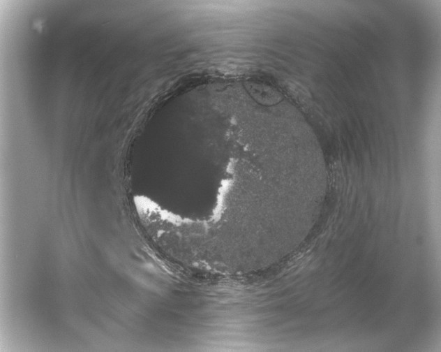 X0000066091009200603101200