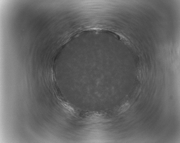 X0000066091010200603101200