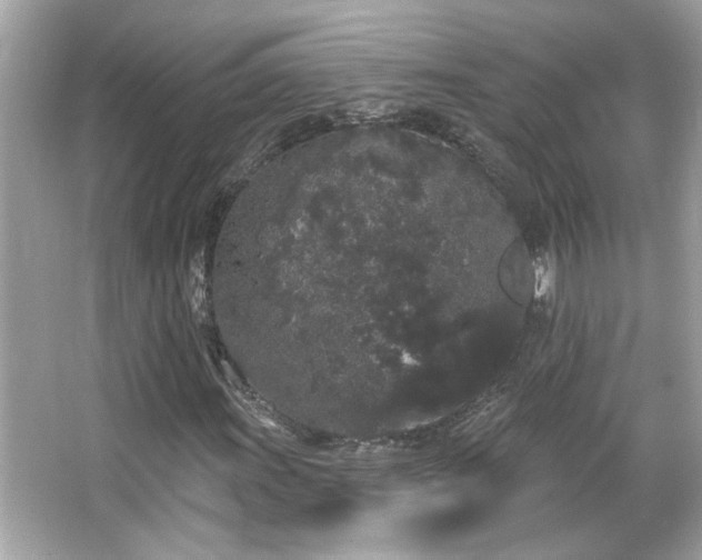 X0000066091011200603101200