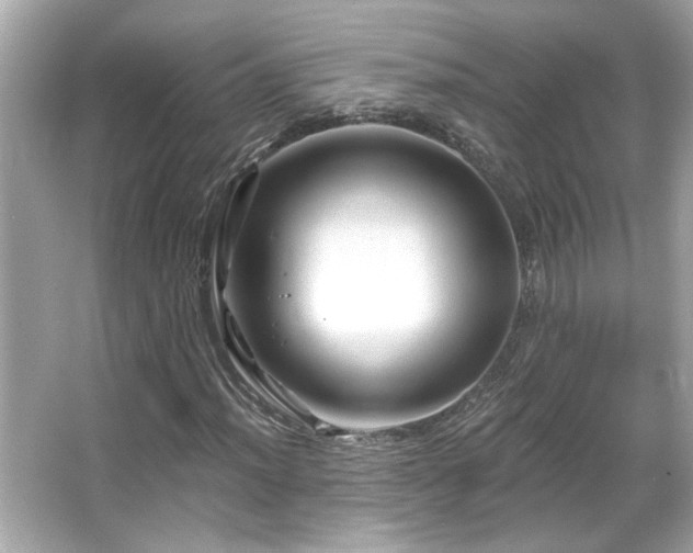 X0000066091012200603101200