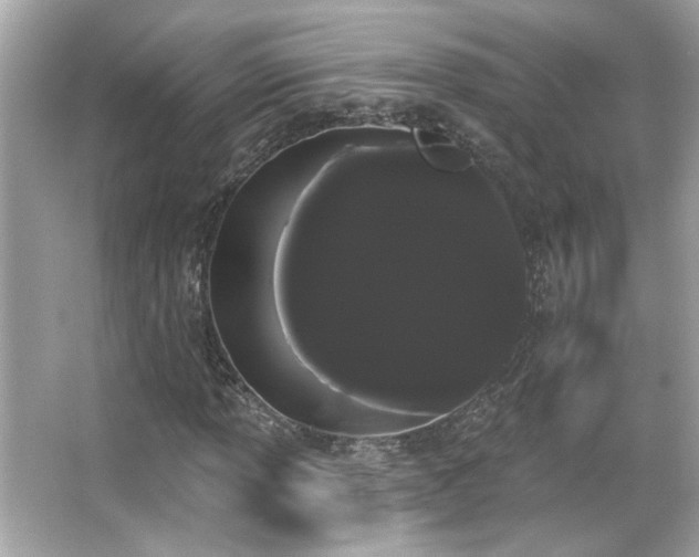 X0000066091013200603101200