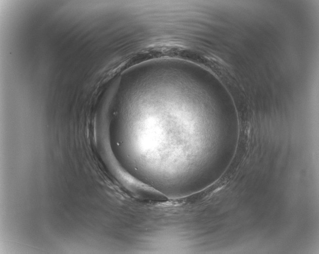 X0000066091014200603101200