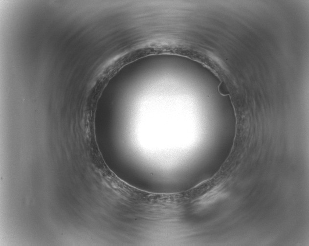 X0000066091016200603101200