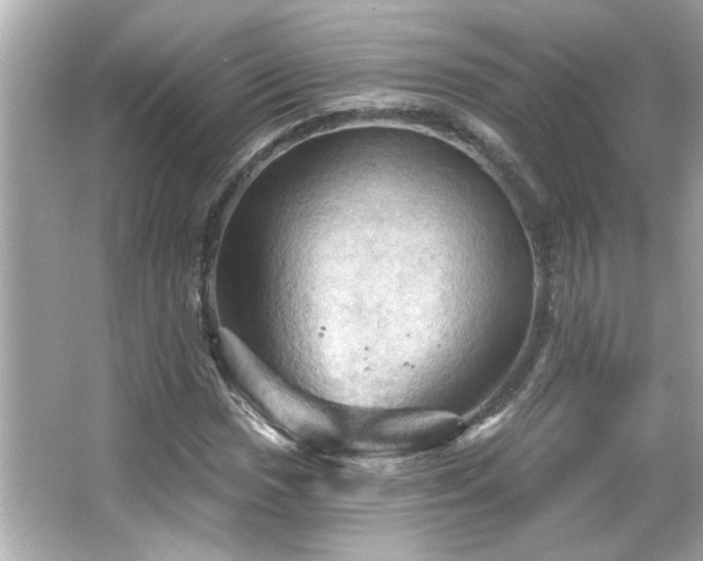 X0000066091017200603101200