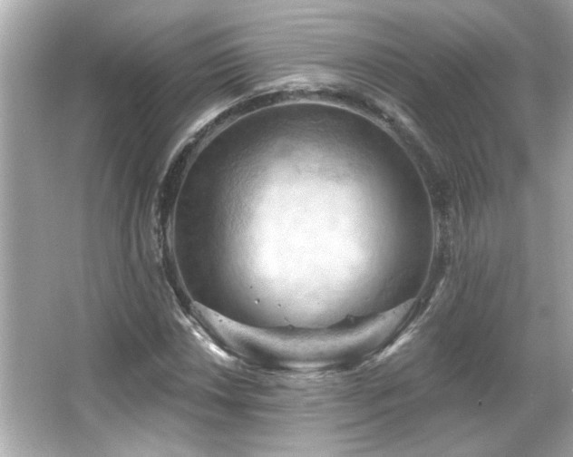 X0000066091018200603101200