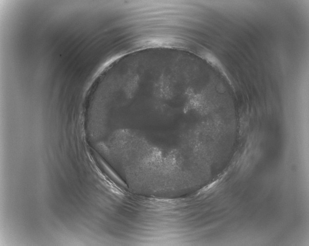 X0000066091019200603101200