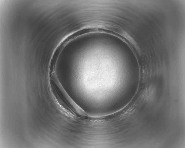 X0000066091020200603101200