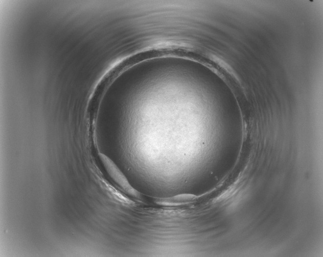 X0000066091021200603101200