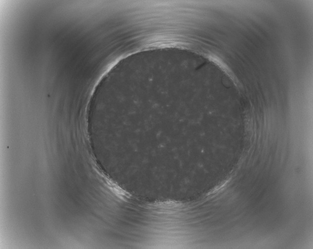 X0000066091023200603101200