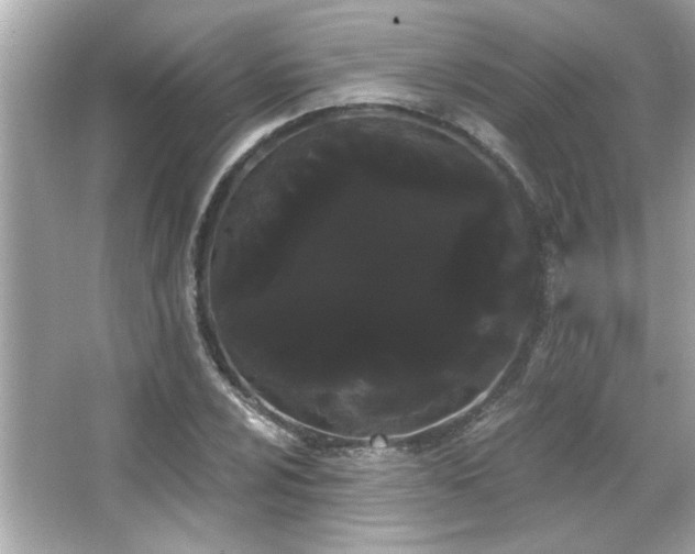 X0000066091024200603101200