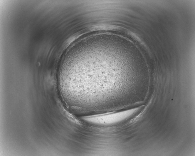 X0000066091025200603101200