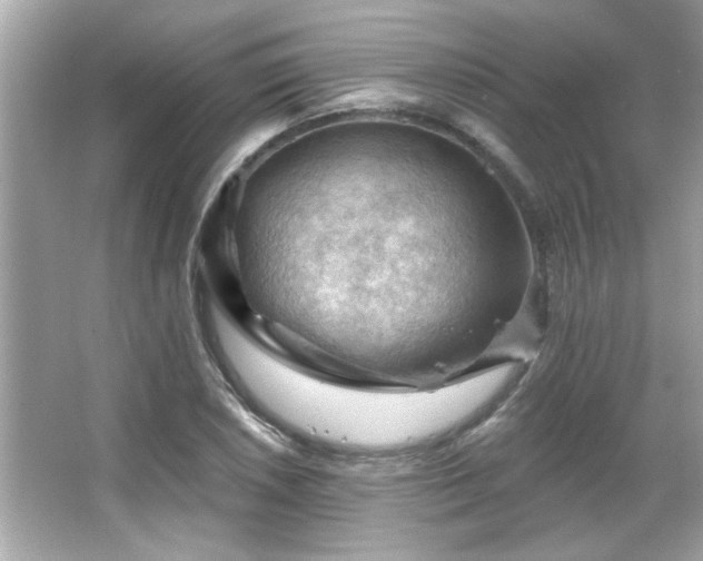 X0000066091026200603101200