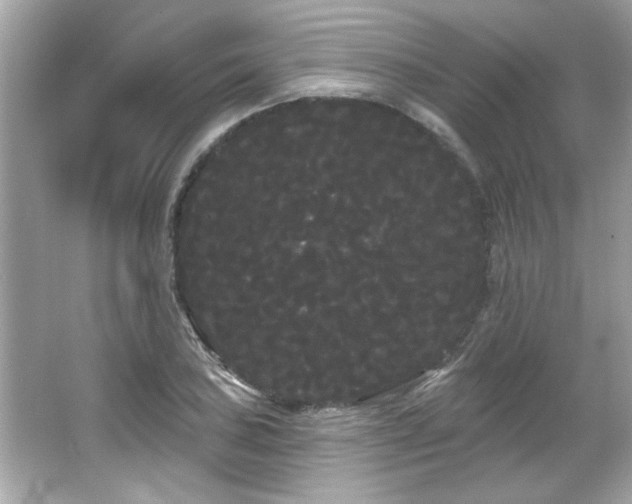 X0000066091027200603101200