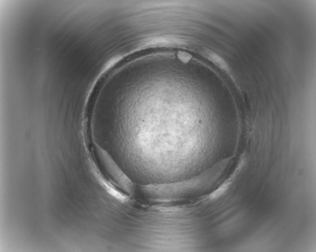 X0000066091029200603101201