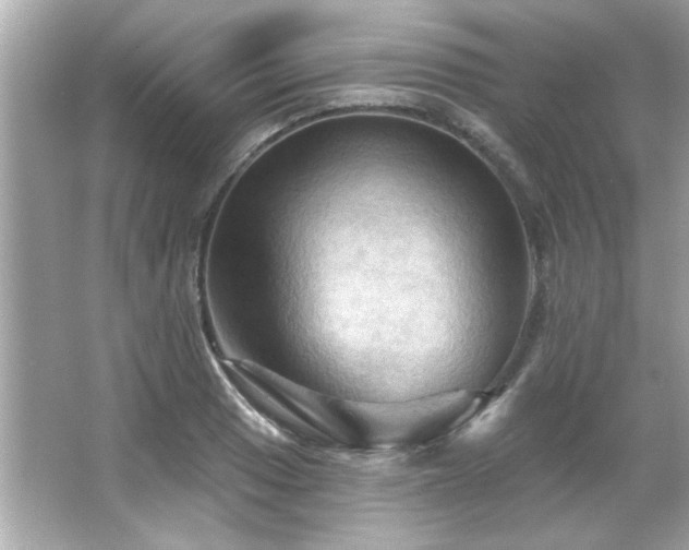 X0000066091033200603101201