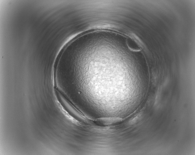 X0000066091036200603101201