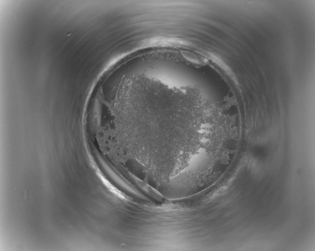 X0000066091037200603101201