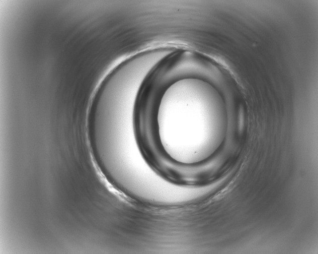 X0000066091038200603101201