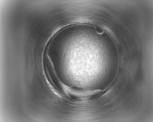 X0000066091039200603101201