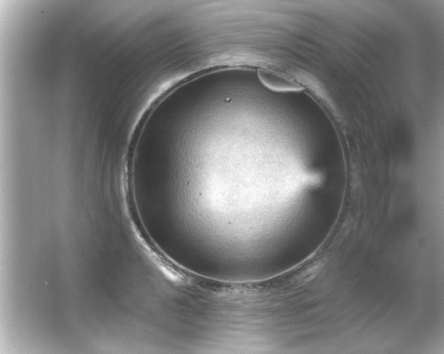 X0000066091040200603101201