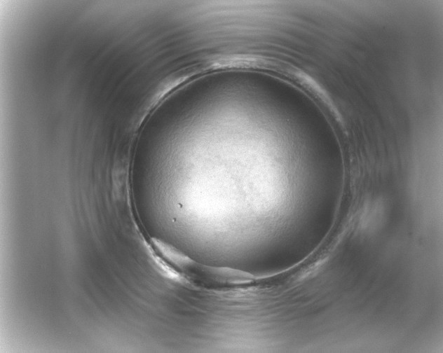 X0000066091041200603101201