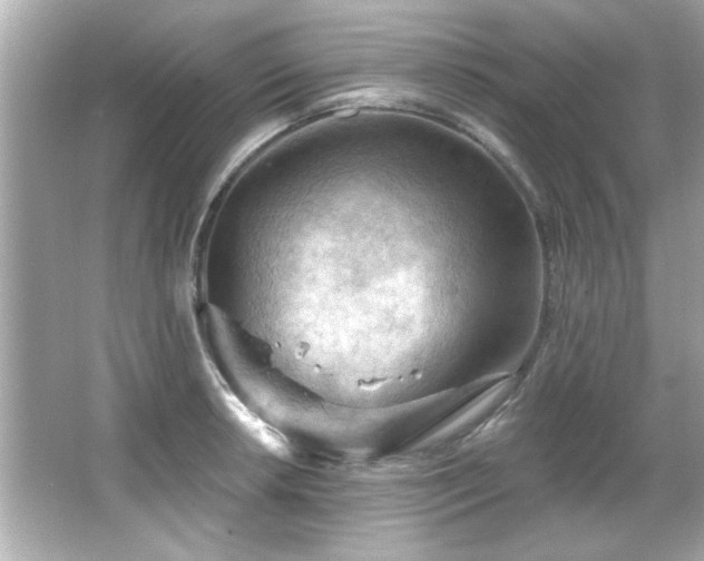 X0000066091042200603101201